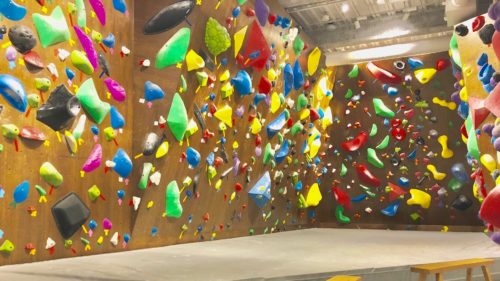 埼玉県のクライミング施設「Community Park Yashio」